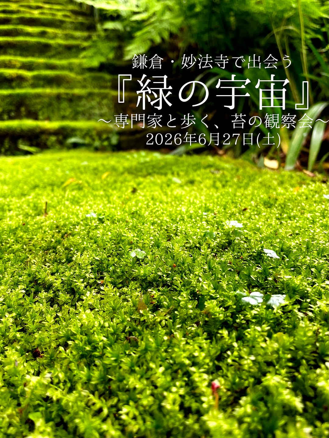 緑の宇宙」～専門家と歩く、苔の観察会～ 6月27日(土)開催！ ~ 湘南